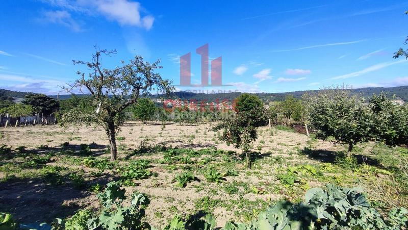 Foto 56b2b8ea-7f5d-4ba2-ae37-6d2e091bdb73. Mas dans San Cibrao das Viñas