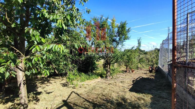 Foto 9e602a30-0364-4476-b4e6-6cc5eab6602f. Mas dans San Cibrao das Viñas