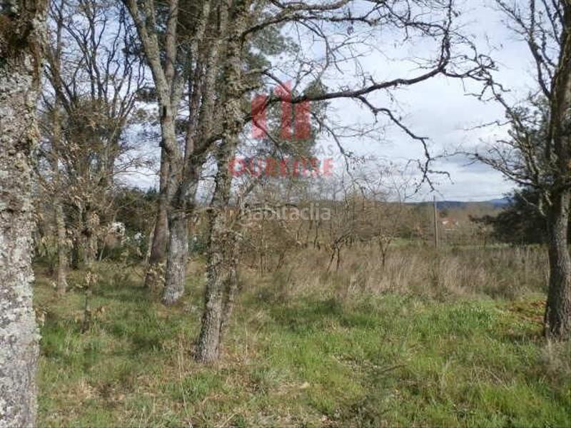 Foto 5580264f-4086-446d-b78b-797fd1c69b07. Residential plot in Pereiro de Aguiar (O)