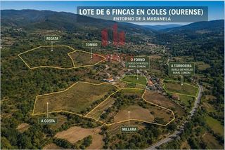 Masia a Coles. Lote de seis fincas en el entorno de madanela coles