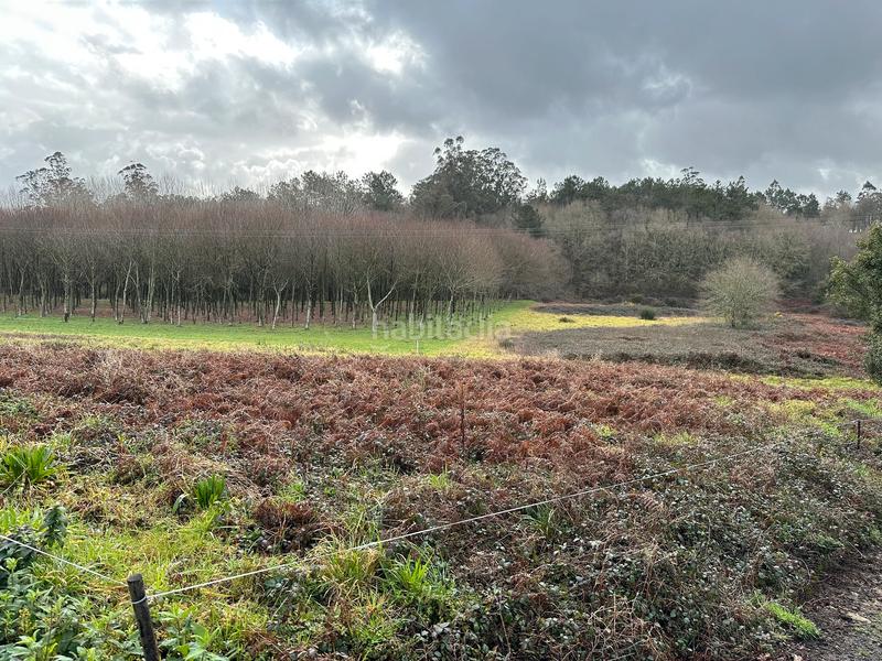 Foto 330d3d87-9cd2-41fd-abff-fba78a1655b3. Terreno residenziale in Parroquias de Santiago Santiago de Compostela