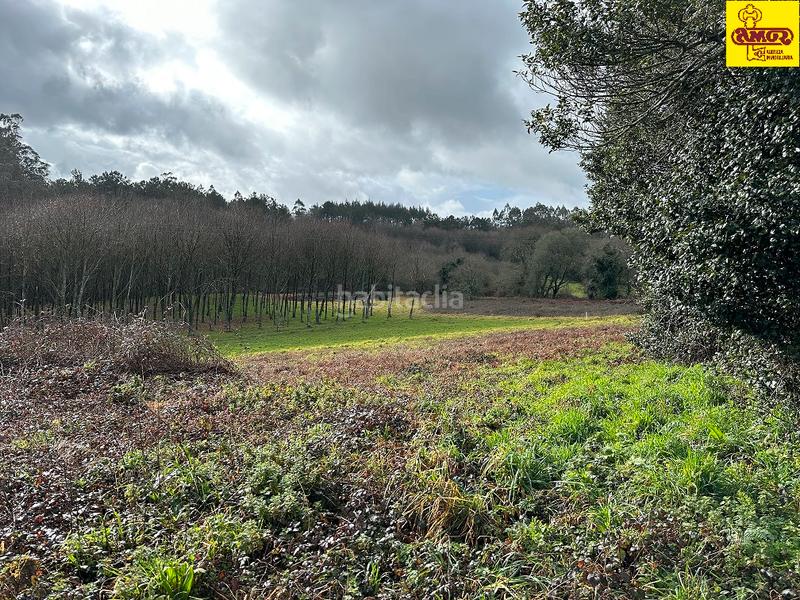 Foto f389f2d1-98d9-4d57-8418-42d05500b615. Terreno residenziale in Parroquias de Santiago Santiago de Compostela