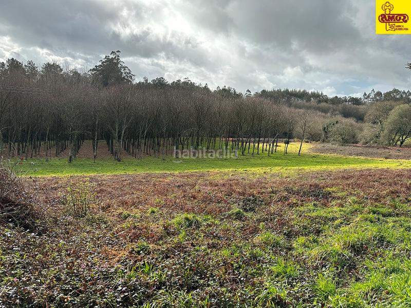 Foto 014c1f9f-bbca-4895-890f-994df8a56f48. Terreno residenziale in Parroquias de Santiago Santiago de Compostela