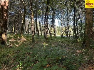 Finca rústica  Lugar san paio. Se vende parcela de monte en pleno camino de santiago