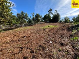 Terreny residencial  Camiño regueiro. Se vende terreno edificable en sarela de abaixo