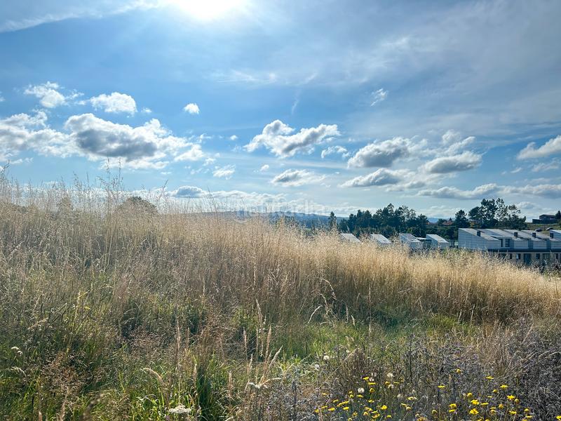 Foto e37e8b76-ded5-4e3d-bdd2-1266d347d399. Terreny residencial a Parroquias de Santiago Santiago de Compostela