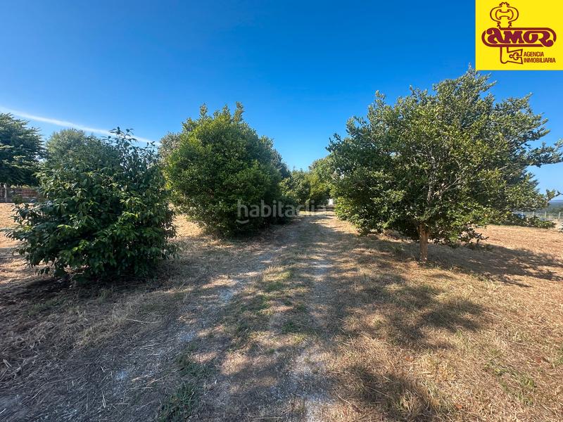 Foto 6bbee603-93c4-4783-a1bd-917d3a19934c. Wohngrundstück in Vedra