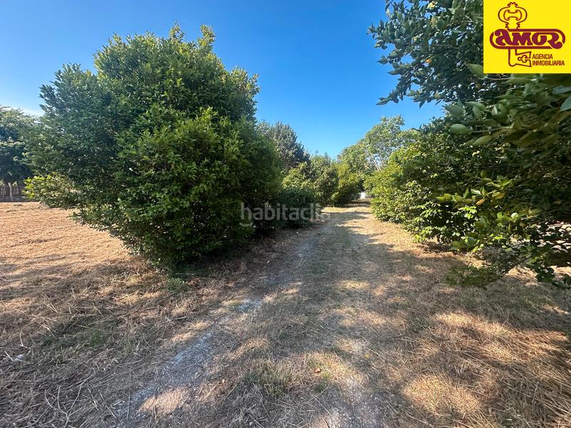 Foto 9f7ba6d1-dd6e-4add-ab2b-f772991eb853. Wohngrundstück in Vedra