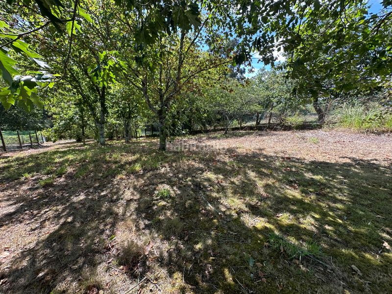 Foto 5eb3b05b-aefe-4413-ba22-8c4b4aa60702. Chalet  independiente en cacheiras - concello . en Teo