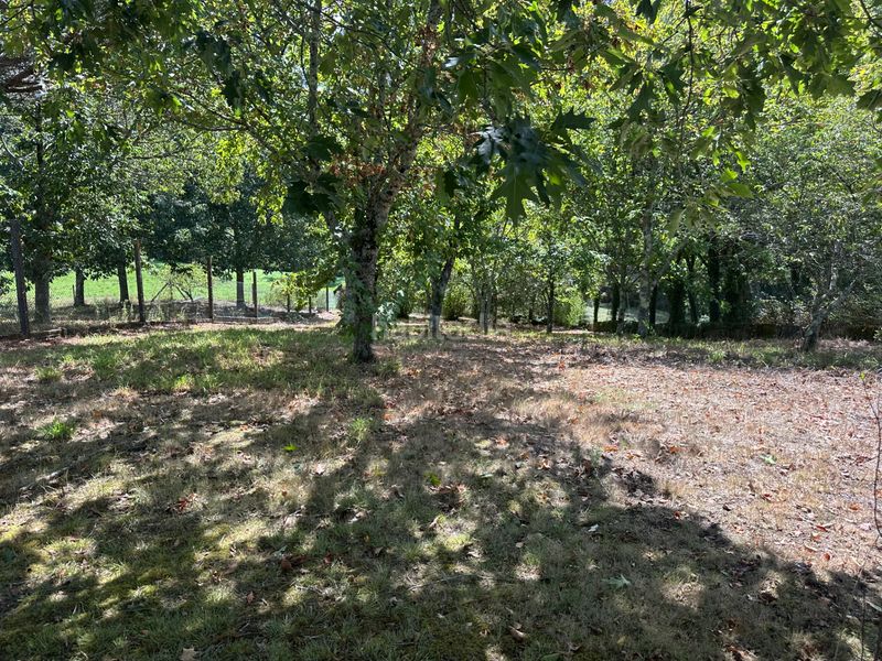 Foto 7f6d1fcc-f3ff-4e9c-b2dd-02d8b1a2e181. Chalet  independiente en cacheiras - concello . en Teo