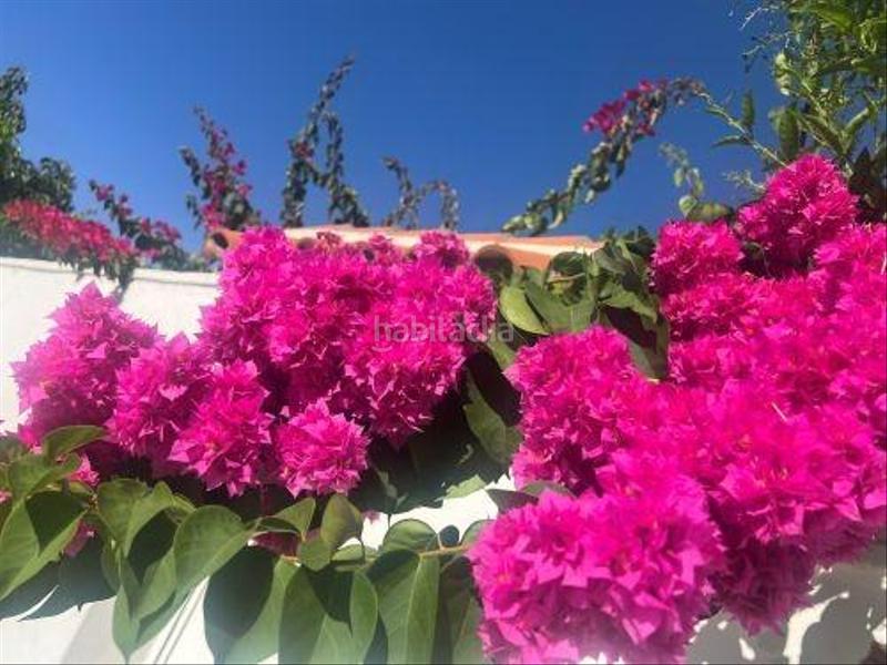 Foto abf883c8-7ffc-4d61-876c-2eb983006105. Planta baja piso planta baja con garaje y patio. en Algeciras