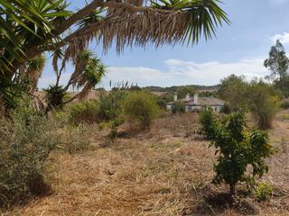 Casa a Barrios (Los). Terreno en evnta en el campo