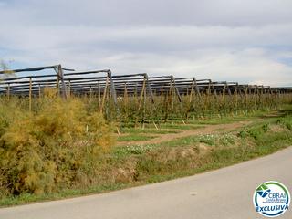 Finca rústica  Giv-6216. Terreno de 5.000m2 en sant pere pescador