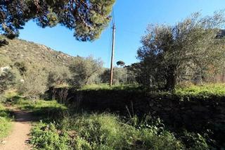 Terreny residencial  Avinguda de la riera de la cuana. Terreno urbano de casi 1.000 m² edificables junto a finca rústic