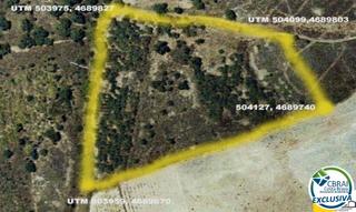 Finca rústica  Carrer butarós. Terreno rustico de 18000 m en garriguella