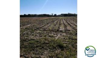Finca rústica  Diseminado despoblado. Oportunidad para inversores agrícolas: terreno en castelló d´emp