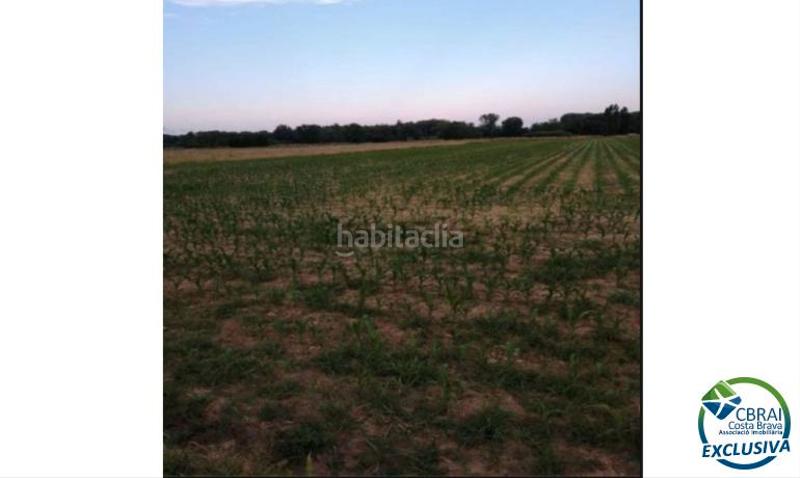 Foto b83820e5-336e-4ab2-bf29-3b7bac33ef98. Landgut in Puigmal - Mas Nou Empuriabrava