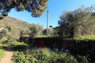 Terreny residencial  Avinguda de la riera de la cuana. Terreno urbano de casi 1.000 m² edificables junto a finca rústic