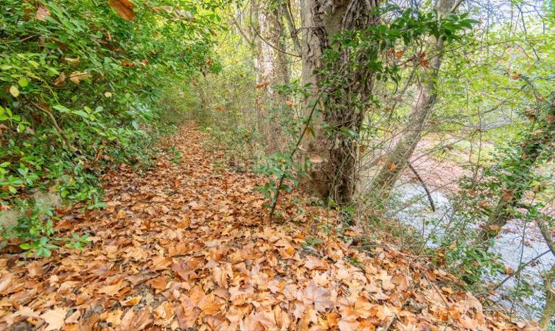 Foto 072973d8-cef0-4b22-8ff7-8fe7837e511b. Casa con camino parcheggio in Sant Llorenç de la Muga