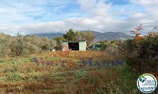 Finca rústica  N/a. Terreno agrícola destinado a olivar y a huerto de 8.606m2 en ros