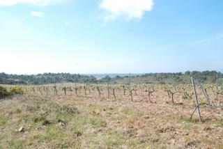 Terreno residencial  Carrer de dalí. Solar edificable con mucho potencial en la zona de garriguella