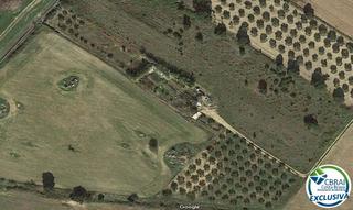 Finca rústica  Vial camino. Terreno rústico agrario en can isaac, palau-saverdera