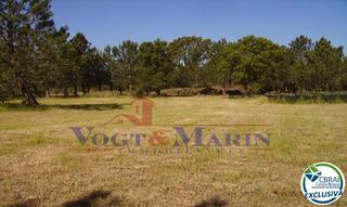 Terrain résidentiel à Carrer Butarós