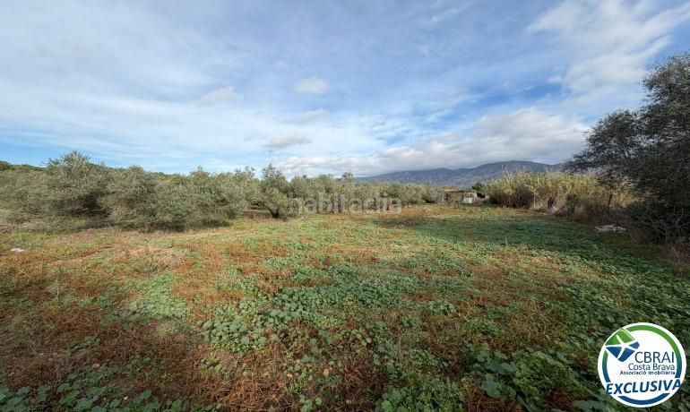 Foto cfdbb759-fe0f-4c07-b7a8-bd7e70096414. Finca rústica a Nord Roses