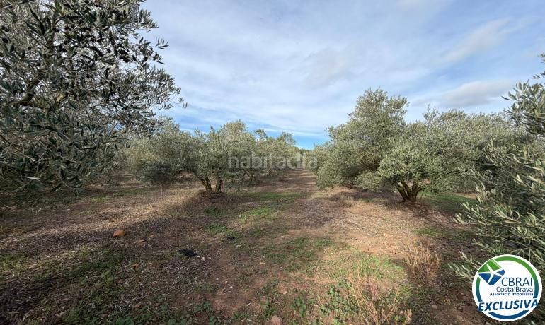 Foto d0199a83-d03e-47af-9584-db8a2a7b10df. Finca rústica a Nord Roses