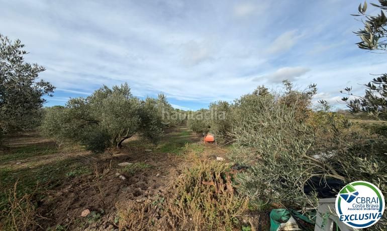 Foto dfaf15cc-600f-438a-b3da-b1e8b010996e. Finca rústica a Nord Roses