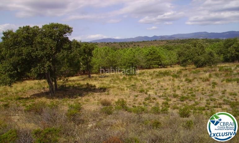 Foto 0a5dec2a-cdda-491c-a8a5-678132f7abb0. Finca rústica a Garriguella