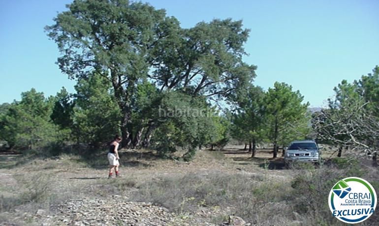 Foto 88caeb18-90e4-4c64-8a2d-33f7b21e61e2. Finca rústica a Garriguella