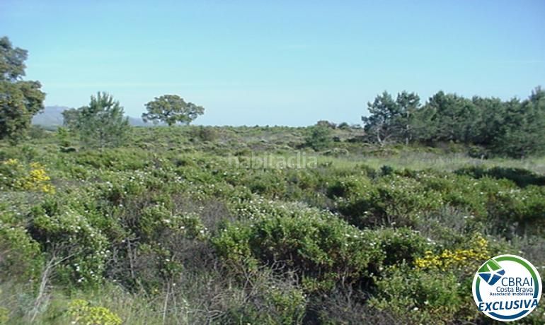 Foto f8314f65-0522-43ed-bc36-fd55678e47fd. Finca rústica a Garriguella