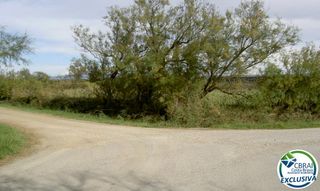 Finca rústica  Giv-6216. Terreno de 5.000m2 en sant pere pescador