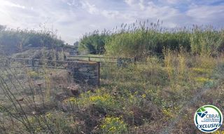 Finca rústica a Carretera