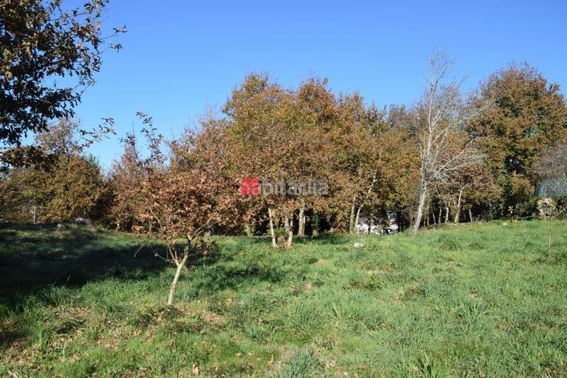 Foto 029876e6-e710-49cd-a67a-44dfd769ad12. Terrain résidentiel dans Teo