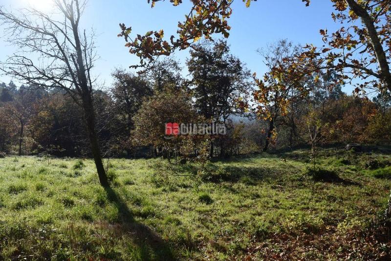 Foto 12c76ffd-b1ad-4927-861a-6920f3e012af. Terrain résidentiel dans Teo