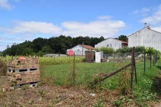Finca rústica  Camiño do norte. Se vende parcela rústica de 193m² en rúa calexa, arzúa. 


no