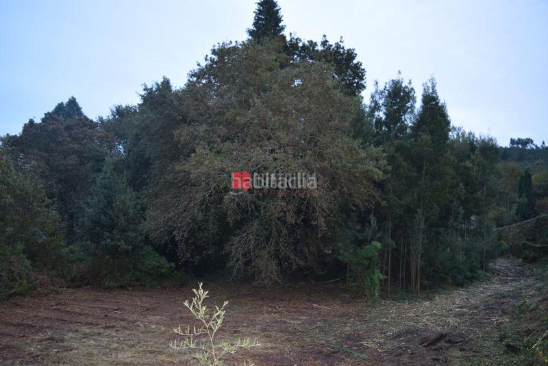 Foto 290af2aa-0370-4c56-9c8d-c1598d206a32. Haus in Parroquias de Santiago Santiago de Compostela