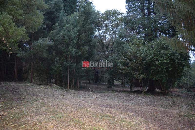 Foto 8191a546-6eea-4c60-bbcb-c7fa5ec5dce0. Haus in Parroquias de Santiago Santiago de Compostela