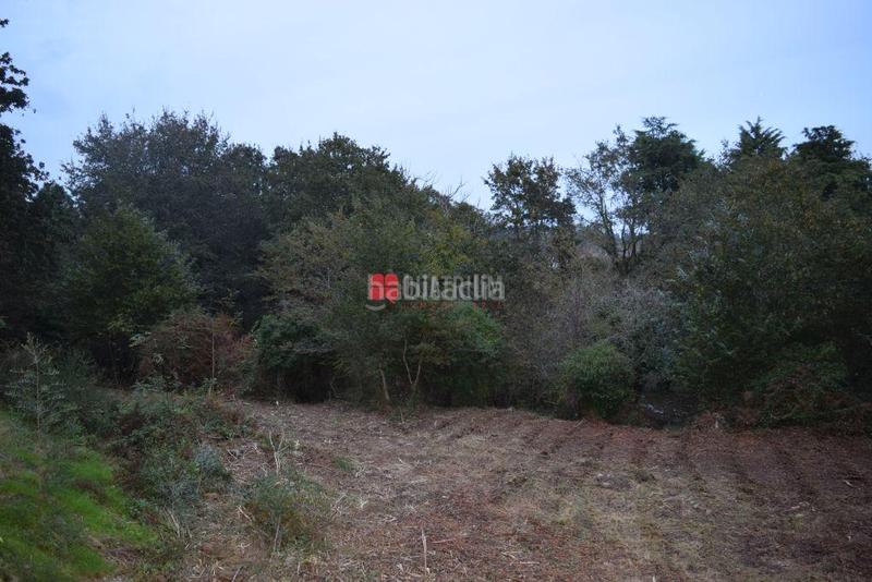 Foto e0181347-000e-4492-94d2-269984424bbd. Haus in Parroquias de Santiago Santiago de Compostela