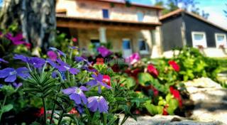 Country house  Lugar gonte