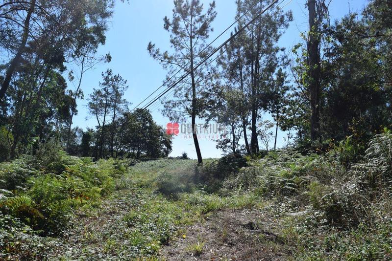 Foto 68dc829f-327a-48e6-8bb9-baca1d884e86. Terreny residencial a Parroquias de Santiago Santiago de Compostela