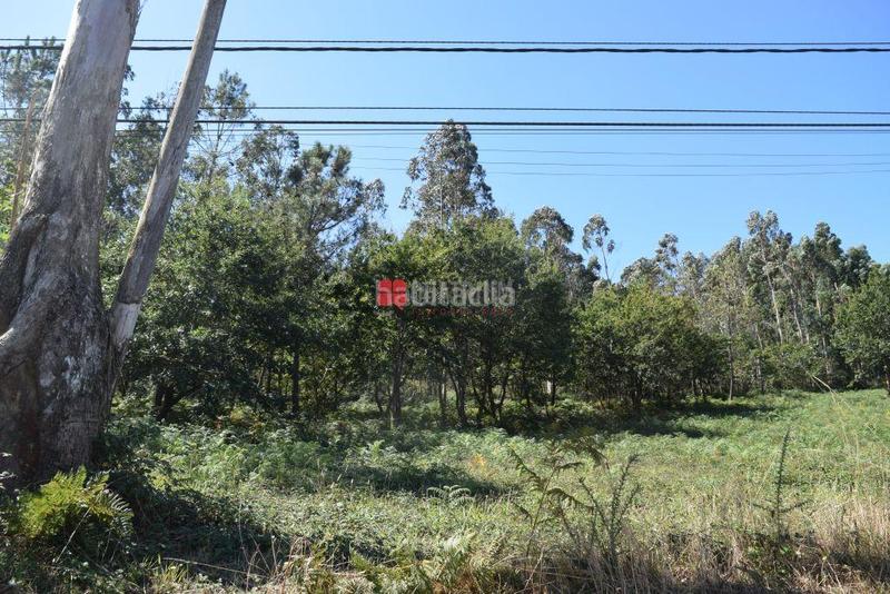 Foto 12f70781-154d-447c-b909-86f6729c2261. Residential plot in Parroquias de Santiago Santiago de Compostela