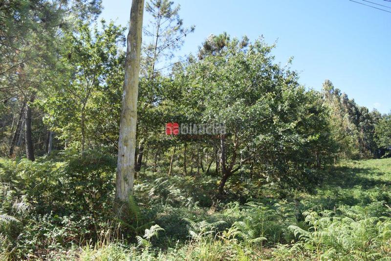 Foto 7cebecec-a071-46bf-8c29-6ca4e5d4420b. Residential plot in Parroquias de Santiago Santiago de Compostela