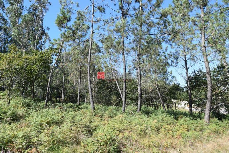 Foto eb713d65-89ad-44ce-ab8e-e907c4d554b4. Residential plot in Parroquias de Santiago Santiago de Compostela