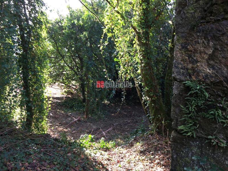 Foto de711e8b-c7ce-4886-bca6-8cad7bd50197. Casa in Parroquias de Santiago Santiago de Compostela