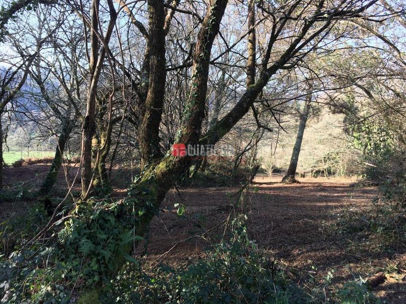 Foto f7330202-3495-4e8a-bfe7-ed5fcc6688e7. Casa in Parroquias de Santiago Santiago de Compostela