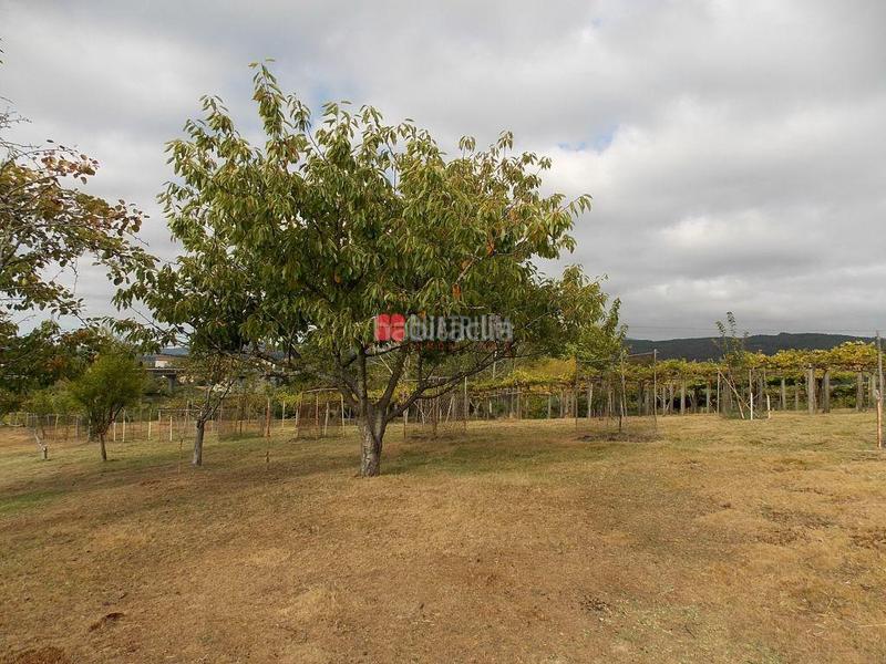 Foto d0274f32-cd4f-4678-88eb-b03d6580e284. Casa en Padrón