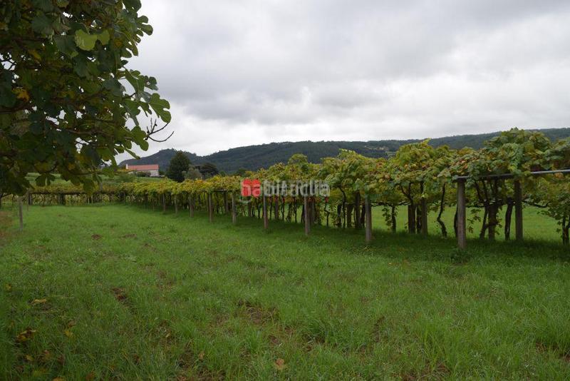 Foto 01833bca-22de-4108-aebb-e2900e8147f2. Terreno residenziale in Vedra